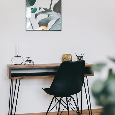 Oasis - Wohnen In - Netflix - Tiefgarage - Dachterrasse ドレスデン